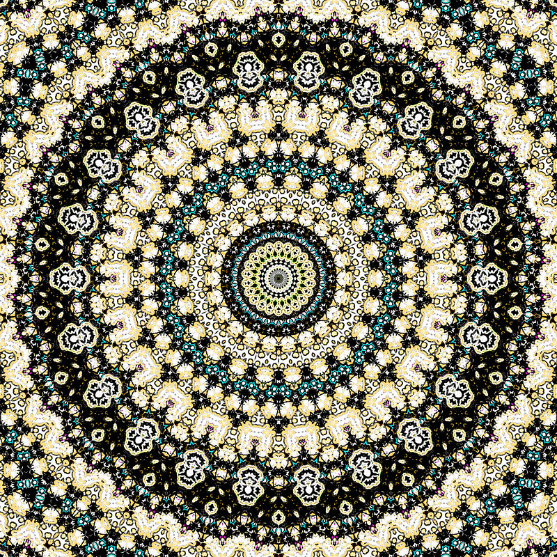 Home 53919575336 f1382dd842 c