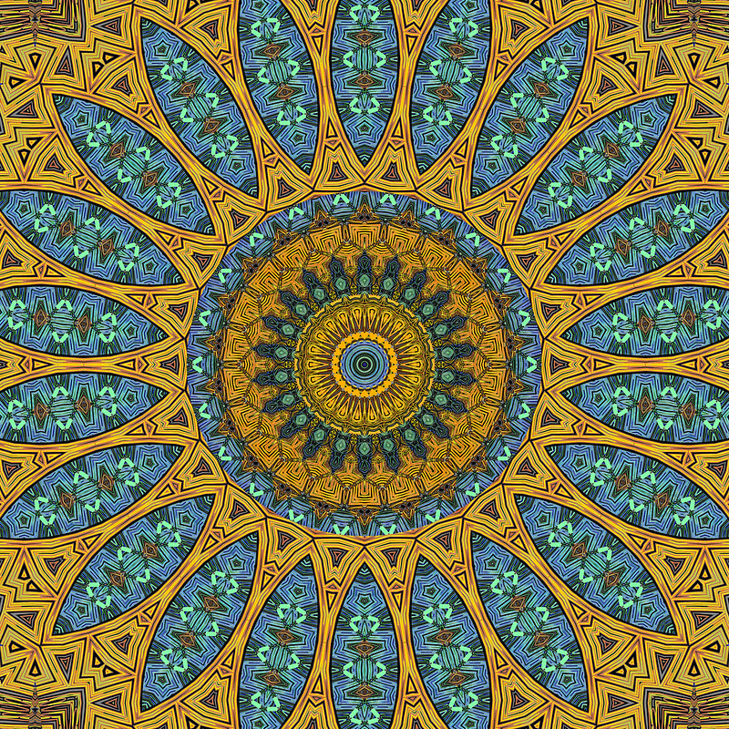 gallery-4 53923173515 Cefc62d0f9 C