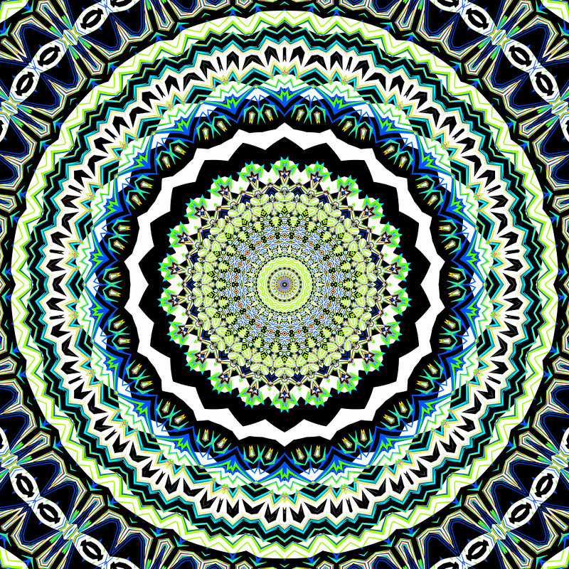 53923256390 545233c71e C