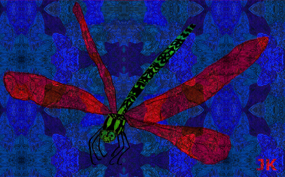 vivid dragonfly by onojk123 d79ygwa vivid dragonfly by onojk123 d79ygwa